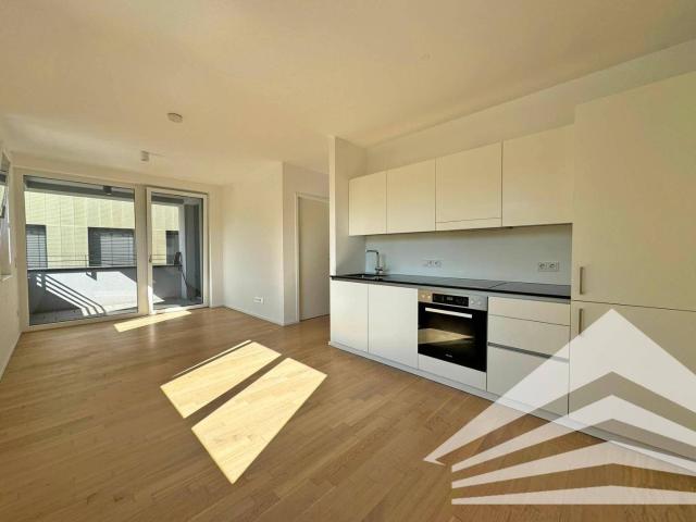 Apartment mieten in Innere Stadt, Linz