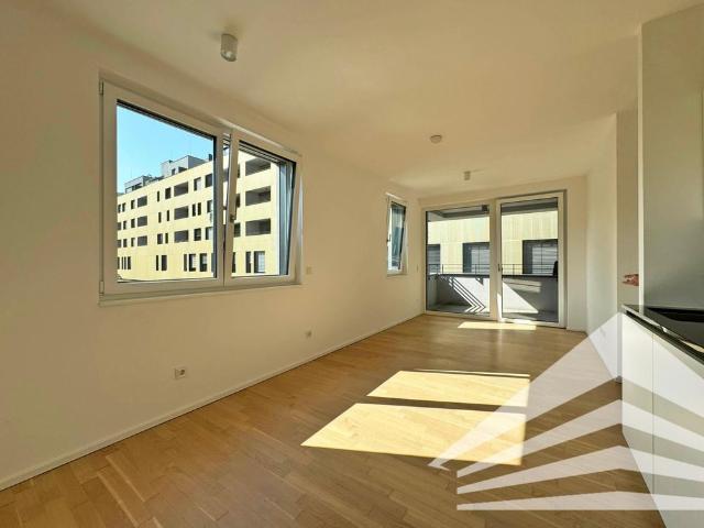 Apartment mieten in Innere Stadt, Linz