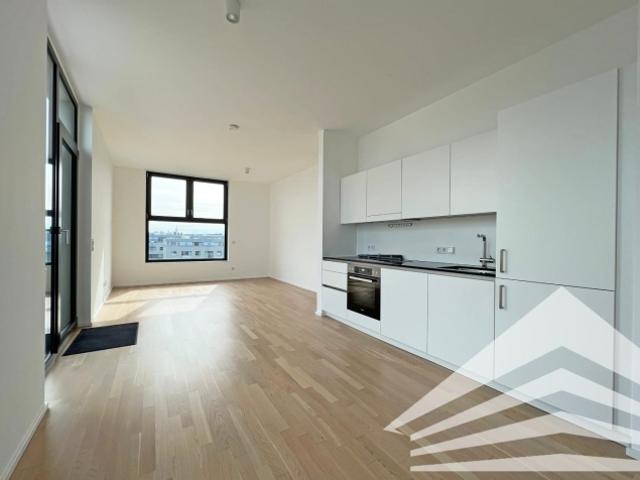 Penthouse mieten in Innere Stadt, Linz