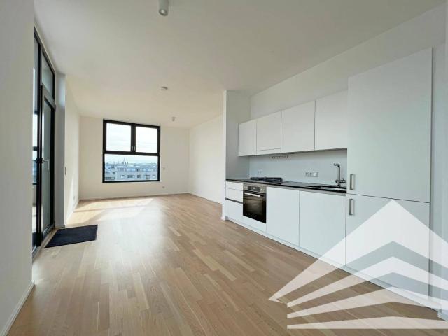 Apartment mieten in Innere Stadt, Linz
