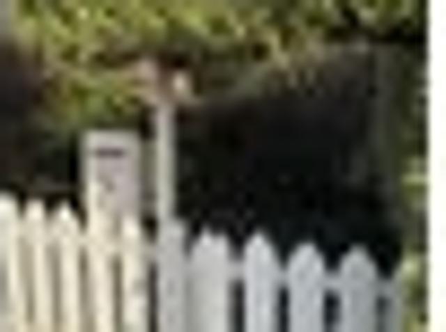 House for rent in Otakou