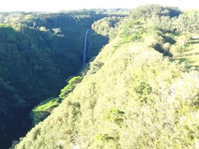 Land for sale in Hakalau, Hawaiʻi County