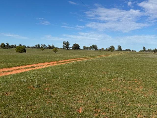 Cottage for sale in Ivanhoe, Central Darling Shire Council