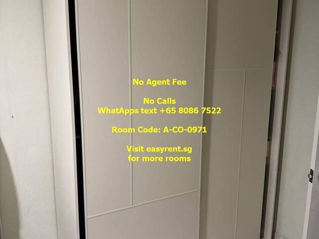 Room for rent