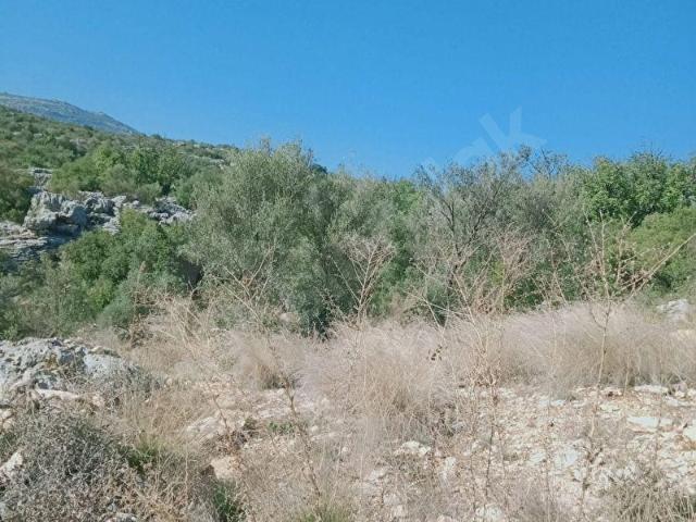Tarsus, Mersin içerisinde satılık Arsa
