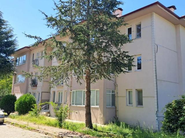 Düzce Merkez, Düzce içerisinde kiralık mülk