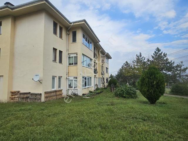 Çamlıevler Mahallesi, Düzce Merkez içerisinde kiralık mülk