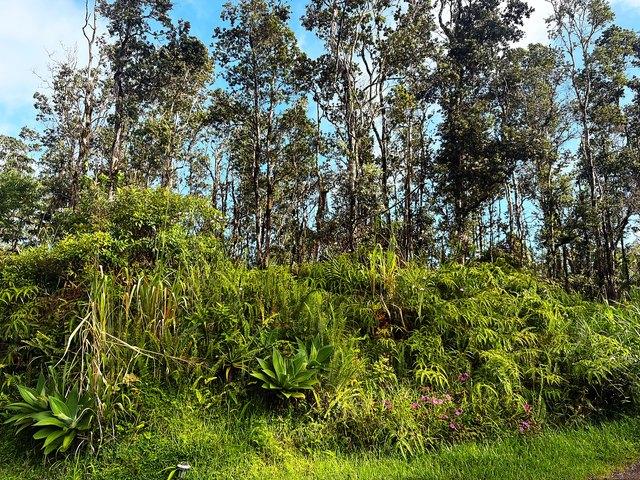 Land for sale in Pahoa, Hawaiʻi County