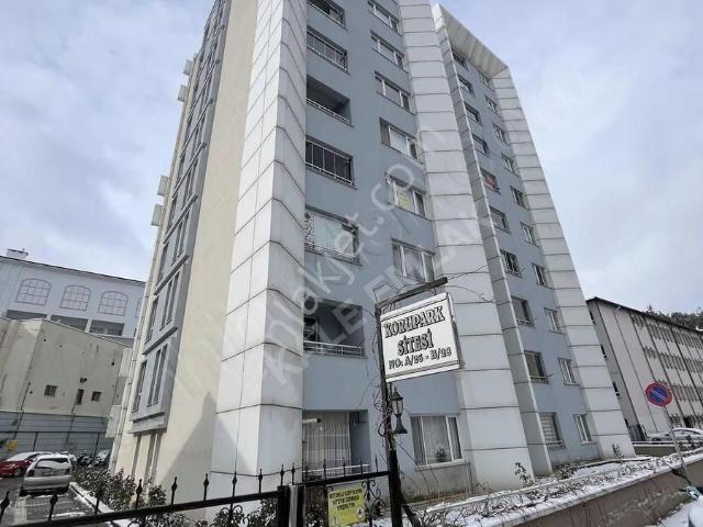 Amasya içerisinde kiralık mülk