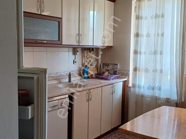 Niğde Merkez, Niğde içerisinde kiralık mülk