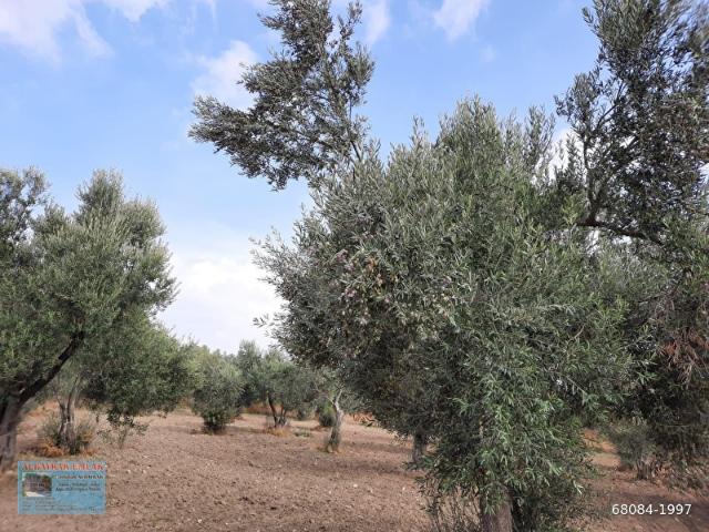 Çanakkale Merkez, Çanakkale içerisinde satılık mülk