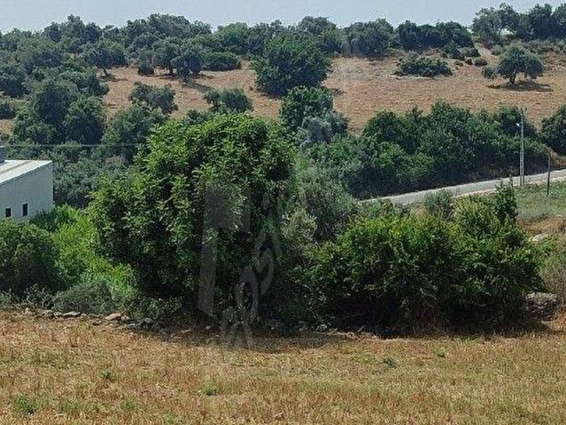 Tarsus, Mersin içerisinde satılık Arsa
