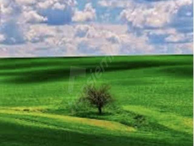 Kalecik, Ankara içerisinde satılık mülk