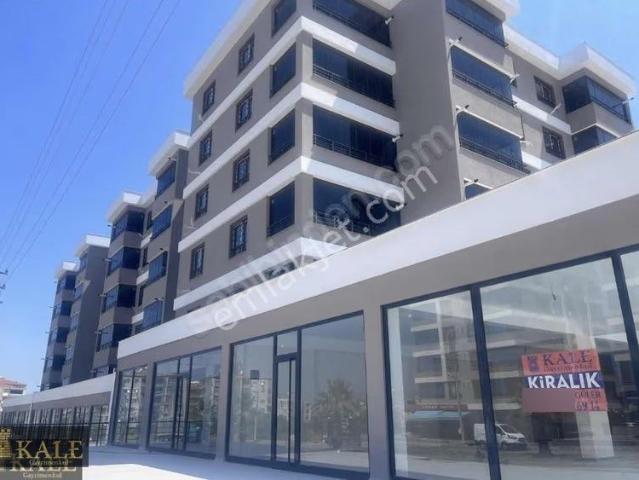 Tire, İzmir içerisinde kiralık mülk