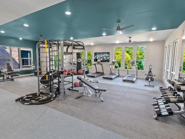 Apartment for rent in Charlotte, North Carolina