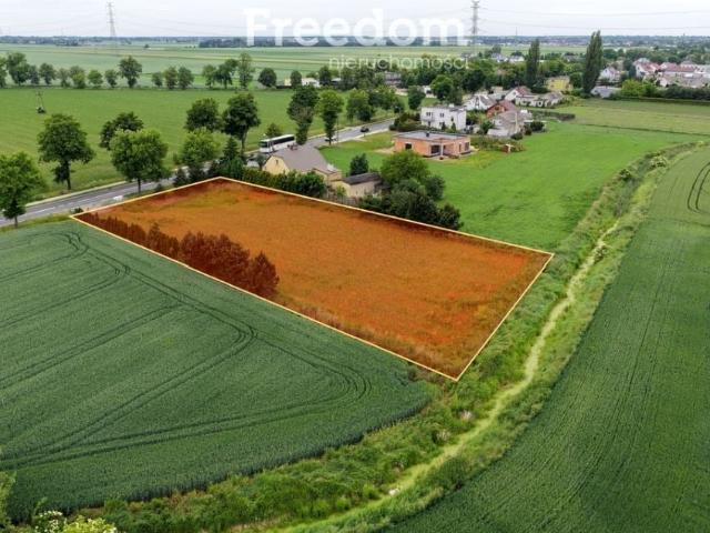 Grunt na sprzedaż w Kaczanowo, Wielkopolskie
