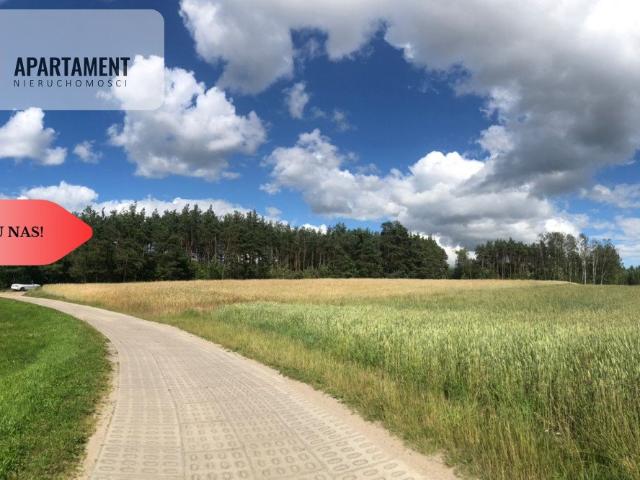 Grunt na sprzedaż w Kaliska, Pomorskie