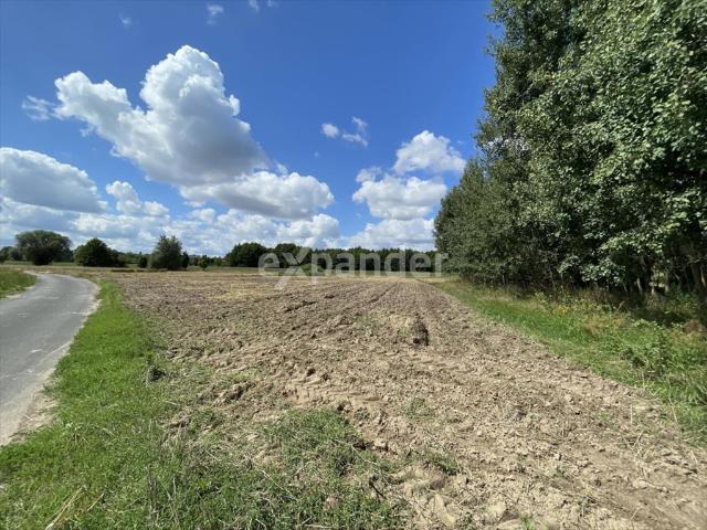 Grunt na sprzedaż w Kalisz, Wielkopolskie