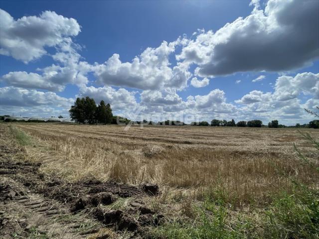 Grunt na sprzedaż w Kalisz, Wielkopolskie