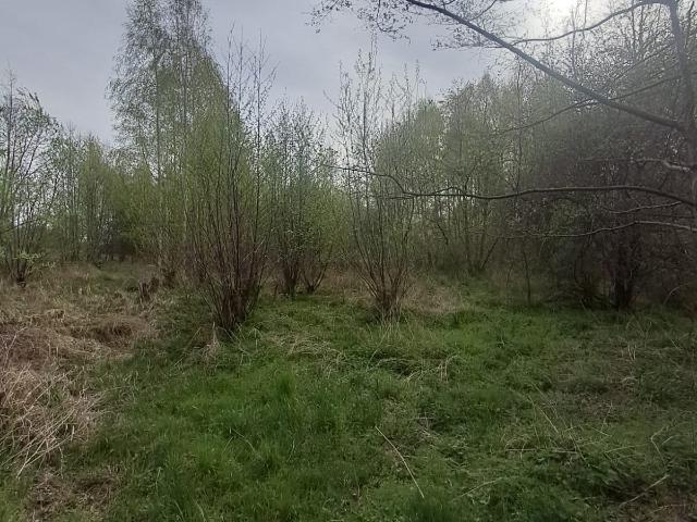 Grunt na sprzedaż w Kalisz