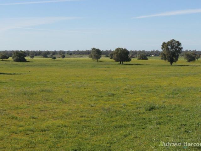 Acreage for sale in Bogan, New South Wales