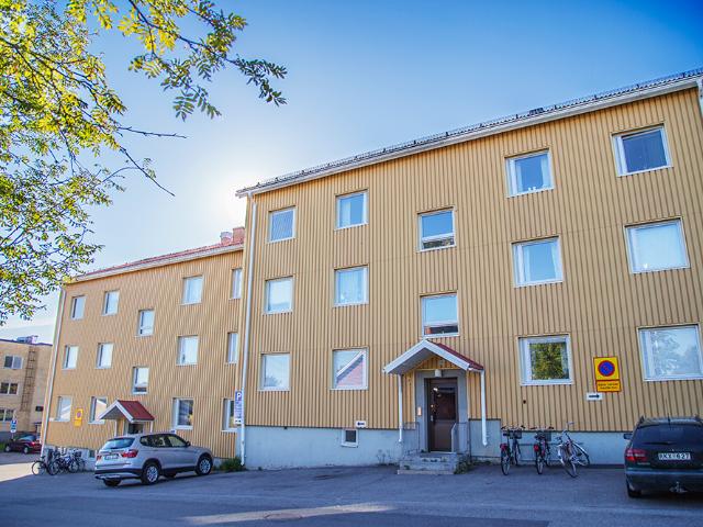 Lägenhet hyra i Piteå, Norrbotten