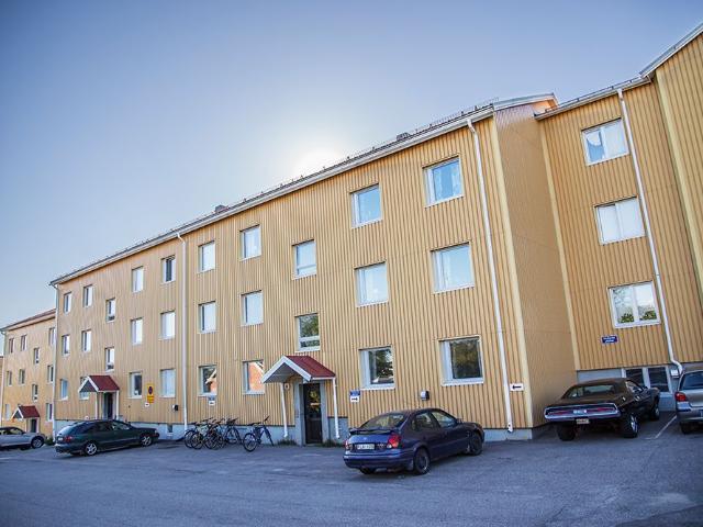 Lägenhet hyra i Piteå, Norrbotten