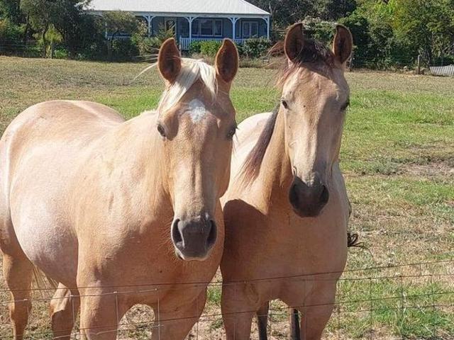 Room for rent in Bunbury, Western Australia