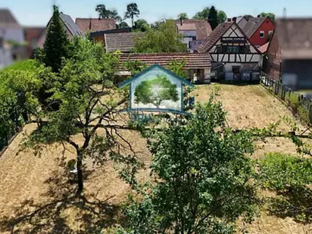 Maison vente à Kaltenhouse, Collectivité européenne d'Alsace