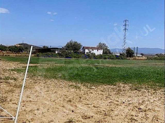 Torbali, İzmir içerisinde satılık Arsa