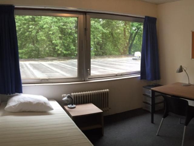 Kamer te huur in Delft, Zuid Holland