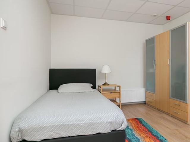 Kamer te huur in Schiedam, Zuid Holland
