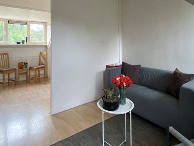 Kamer te huur in Burgemeestersbuurt, Deventer