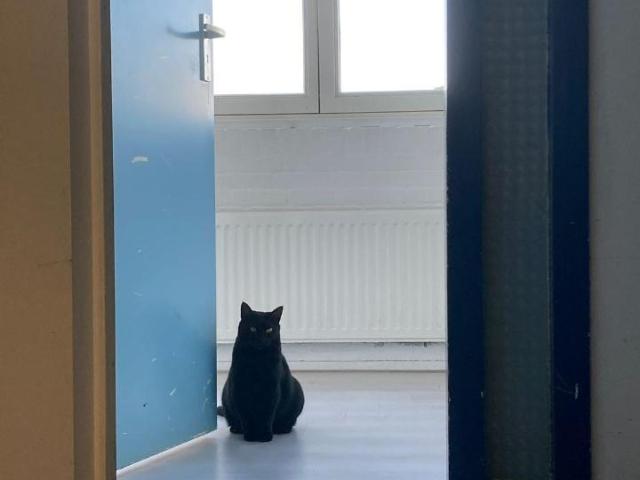 Kamer te huur in Oude Westen, Rotterdam
