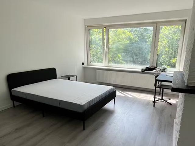 Kamer te huur in Vreewijk, Rotterdam