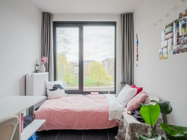 Kot location à Desteldonk, Oost-Vlaanderen