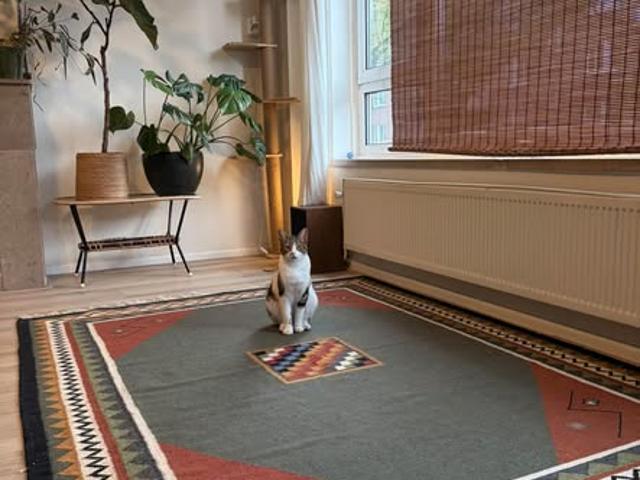Kamer te huur in Centrum, Amsterdam