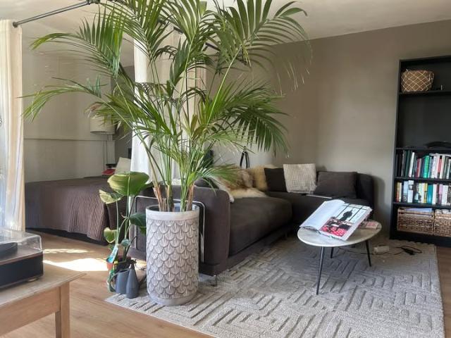 Kamer te huur in Centrum, Amsterdam