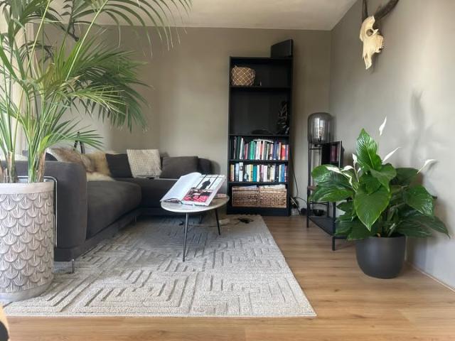 Kamer te huur in Grachtengordel, Amsterdam