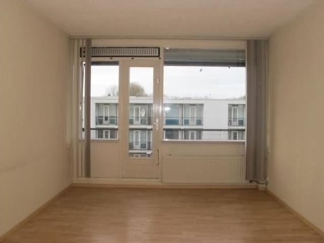 Kamer te huur in Noord, Amsterdam