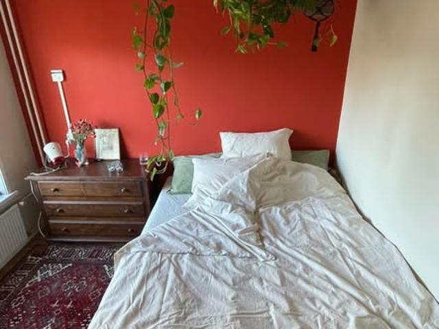Kamer te huur in Grachtengordel, Amsterdam