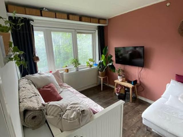 Kamer te huur in Centrum, Groningen