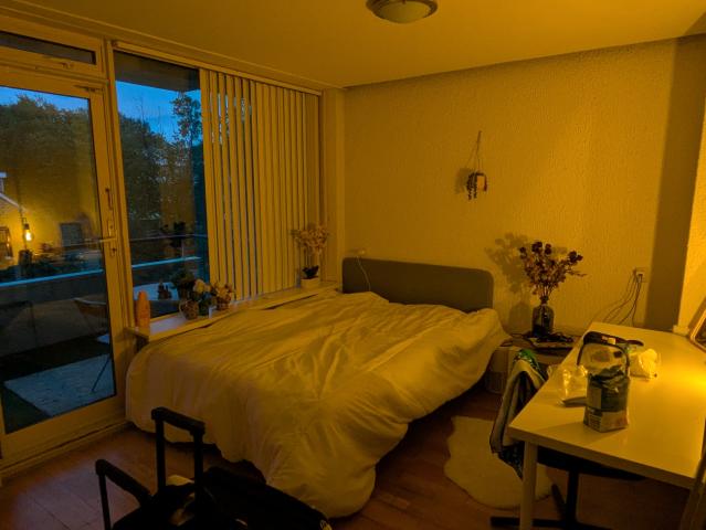 Kamer te huur in Kralingen-Oost, Rotterdam