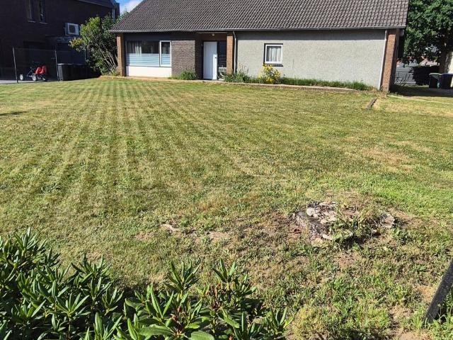 Kamer te huur in Wijchen, Gelderland