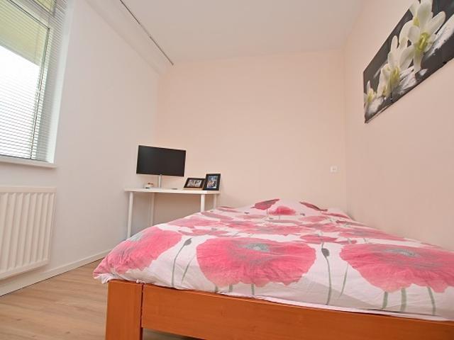 Kamer te huur in Paddepoel-Zuid, Groningen