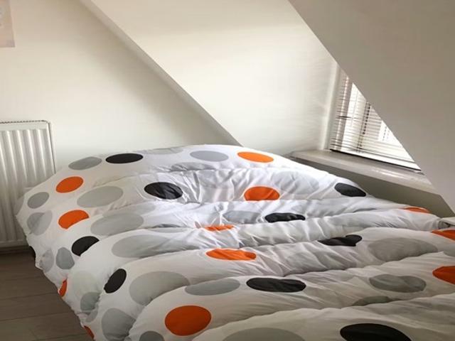 Kamer te huur in Tussendijken, Rotterdam