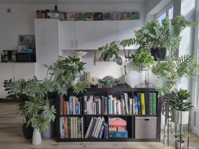 Kamer location à Brussel, Bruxelles