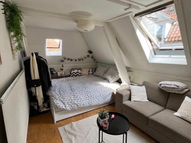 Kamer te huur in Binnenstad, Deventer