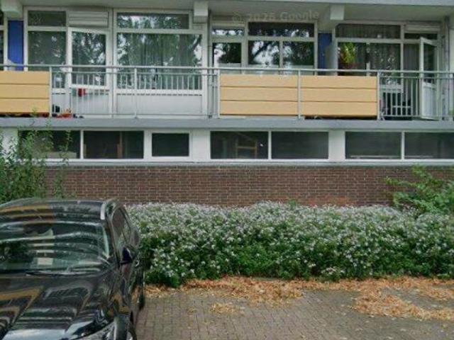 Kamer te huur in Hof van Delft, Delft