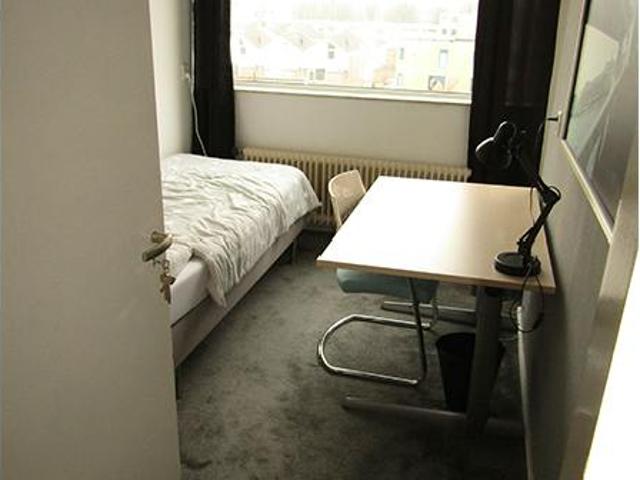 Kamer te huur in Hof van Delft, Delft